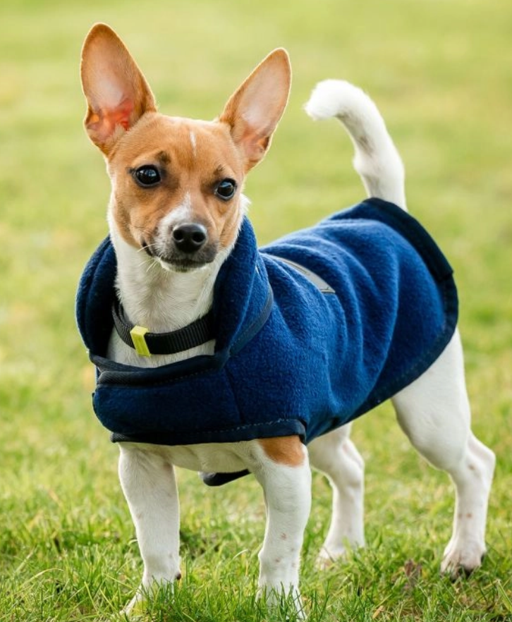 Horseware Signature Dog Fleece (No Fill)