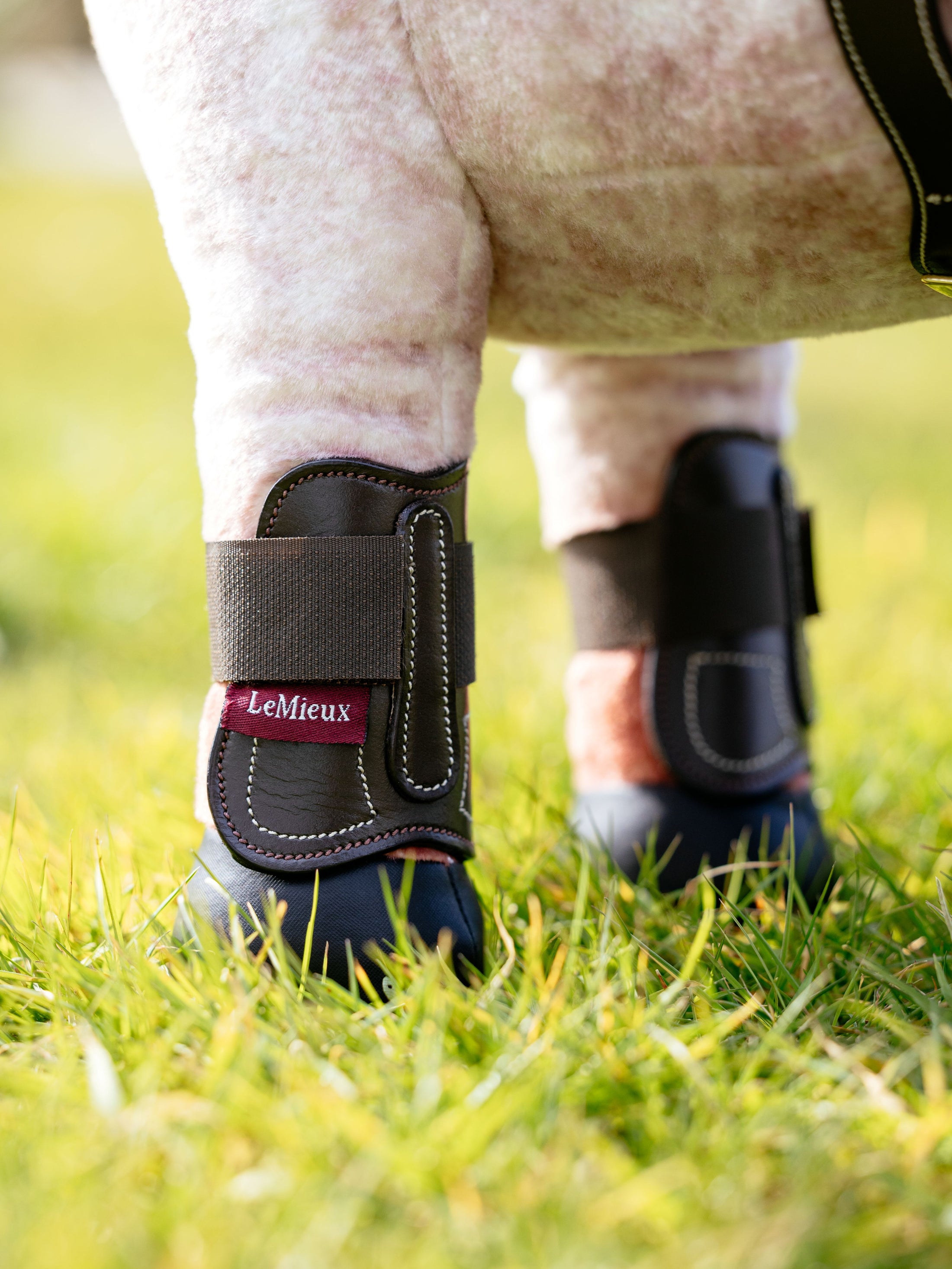 LeMieux® Toy Pony Capella Boots