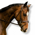 Load image into Gallery viewer, Black Oak by KL Select Maple Training Bridle
