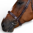 Load image into Gallery viewer, Dyon Cavesson Hunter Noseband Bridle
