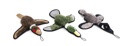 Ruffian Game Bird Pheasant