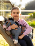 Load image into Gallery viewer, LeMieux® Toy Pony Comet
