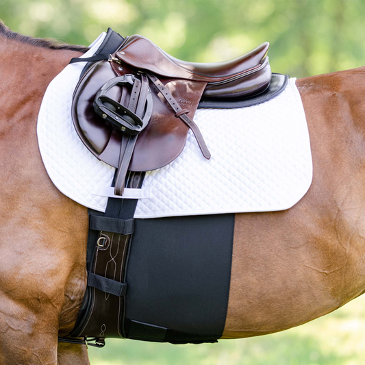 EquiFit® BellyBand+™