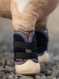 Load image into Gallery viewer, LeMieux® Toy Pony Travel Set
