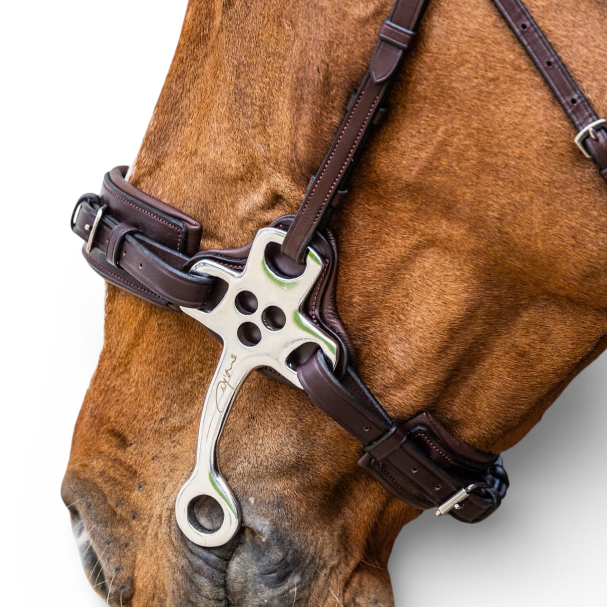 Dyon Hackamore Premium Leather Bitless Bridle Alorian Saddlery dyon-hackamore-premium-leather-bitless-bridle-alorian-saddlery
