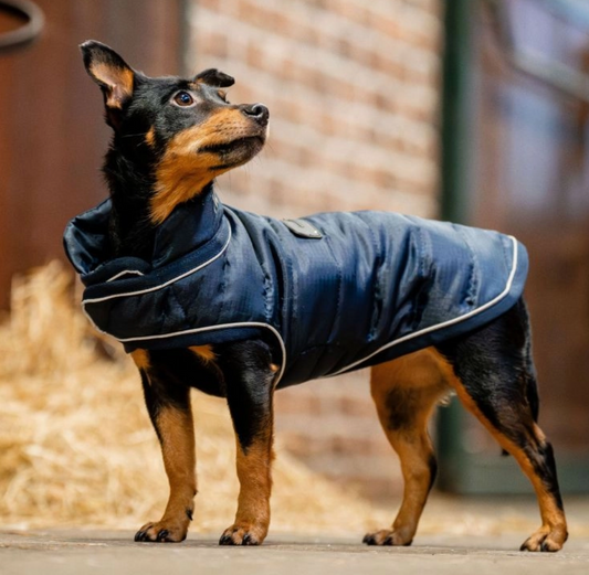 Horseware® Signature Dog Rug 200g