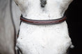 Load image into Gallery viewer, KL Select Italia Middleburg Hunter Bridle
