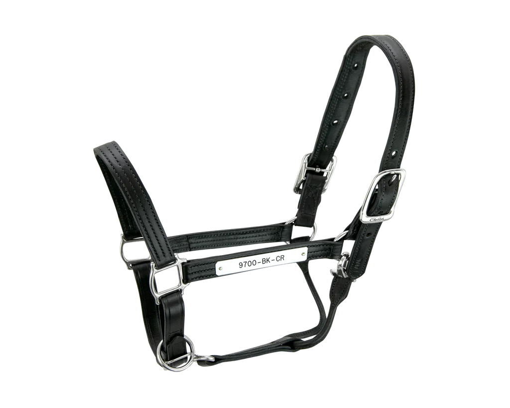 Walsh Kentucky Halter