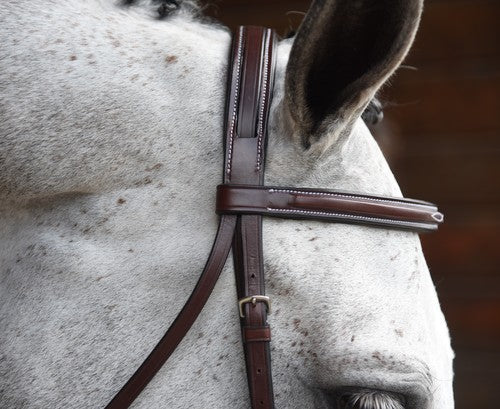 KL Select Italia Middleburg Hunter Bridle