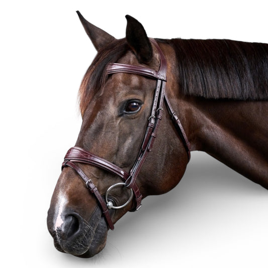 Dyon Anatomic Flash Noseband Bridle