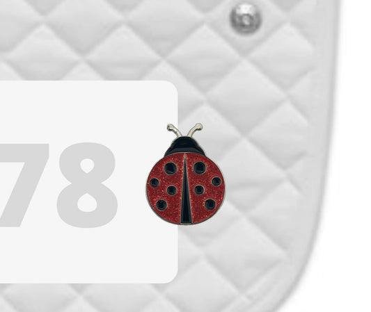Dubois Cheval Ladybug Number Pin Charms