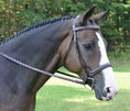 Load image into Gallery viewer, Red Barn Spirit Hunter Cavesson Crank Bridle
