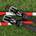 Load image into Gallery viewer, Mane Jane Spur Straps
