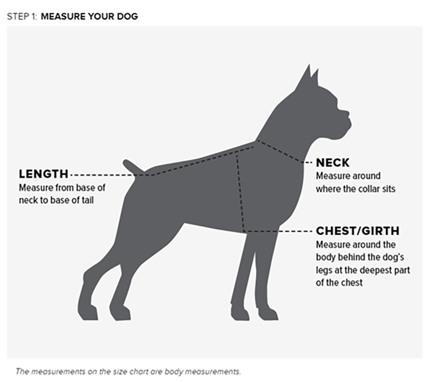 ARIAT® DuraCanvas Insulated Dog Jacket