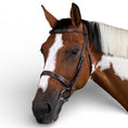 Load image into Gallery viewer, Dyon Cavesson Hunter Noseband Bridle
