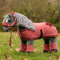 Load image into Gallery viewer, LeMieux® Toy Pony Show Rug
