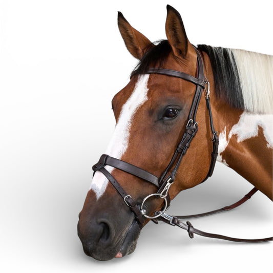 Dyon Flat Leather Bridle With Snap Hooks