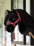 Load image into Gallery viewer, LeMieux® Hobby Horse - Spike
