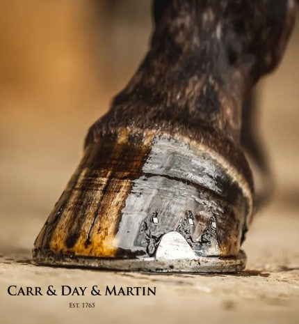 Cornucrescine Tea Tree Hoof Oil w Applicator 500ml