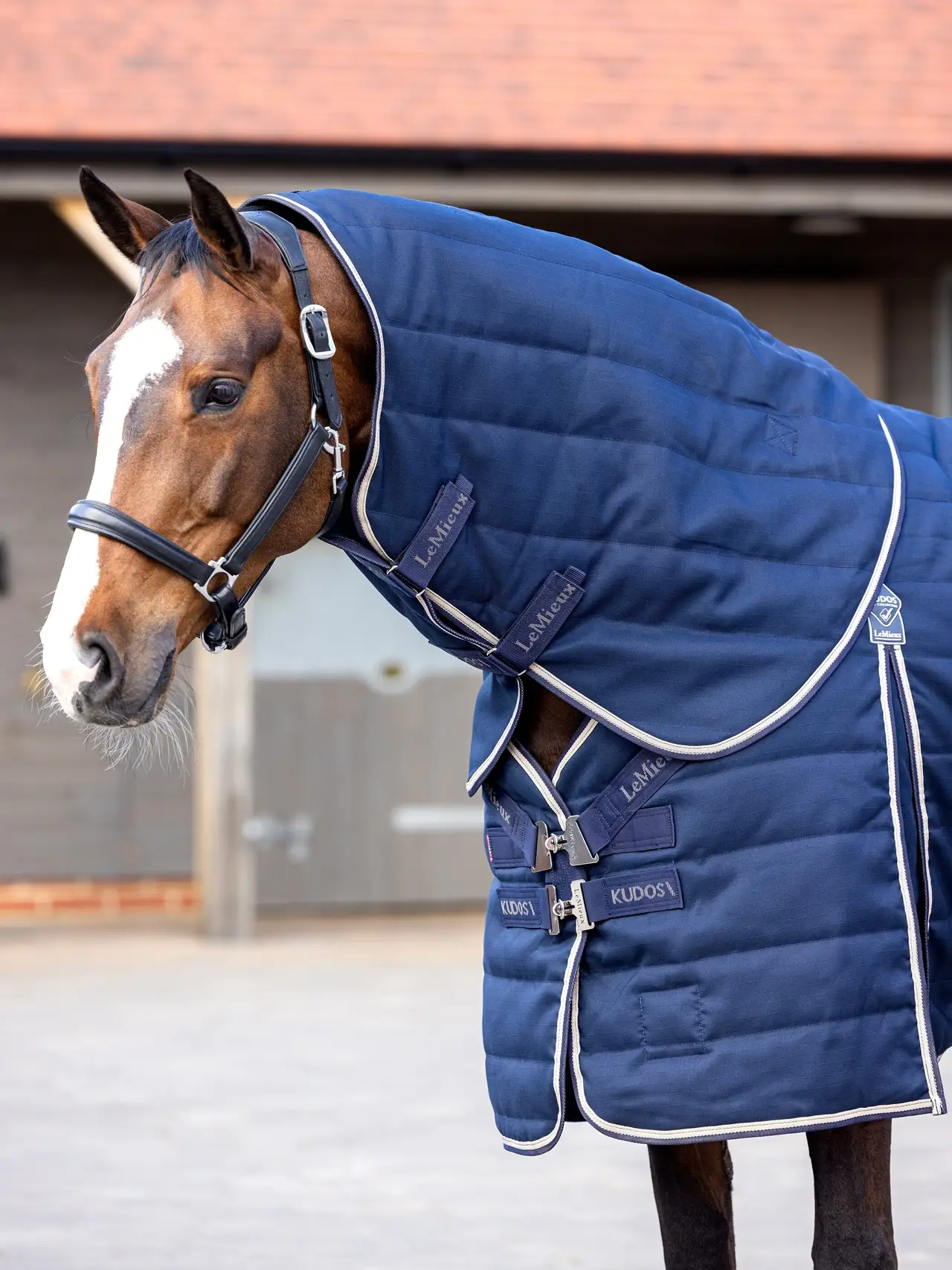 LeMieux® Kudos Stable Neck Cover 200g
