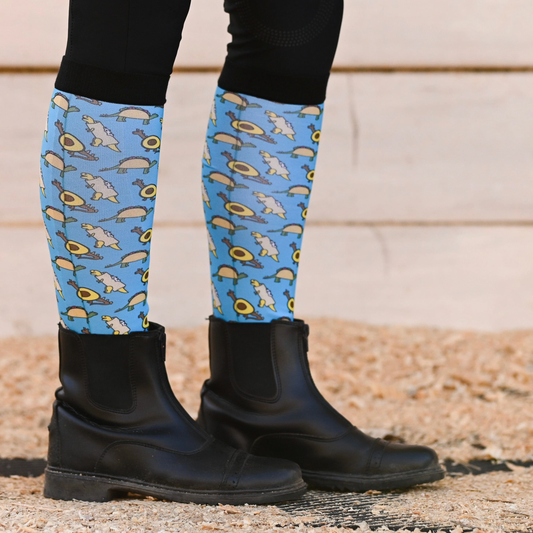 Dreamers & Schemers TACO SAUR Pair & A Spare Boot Socks