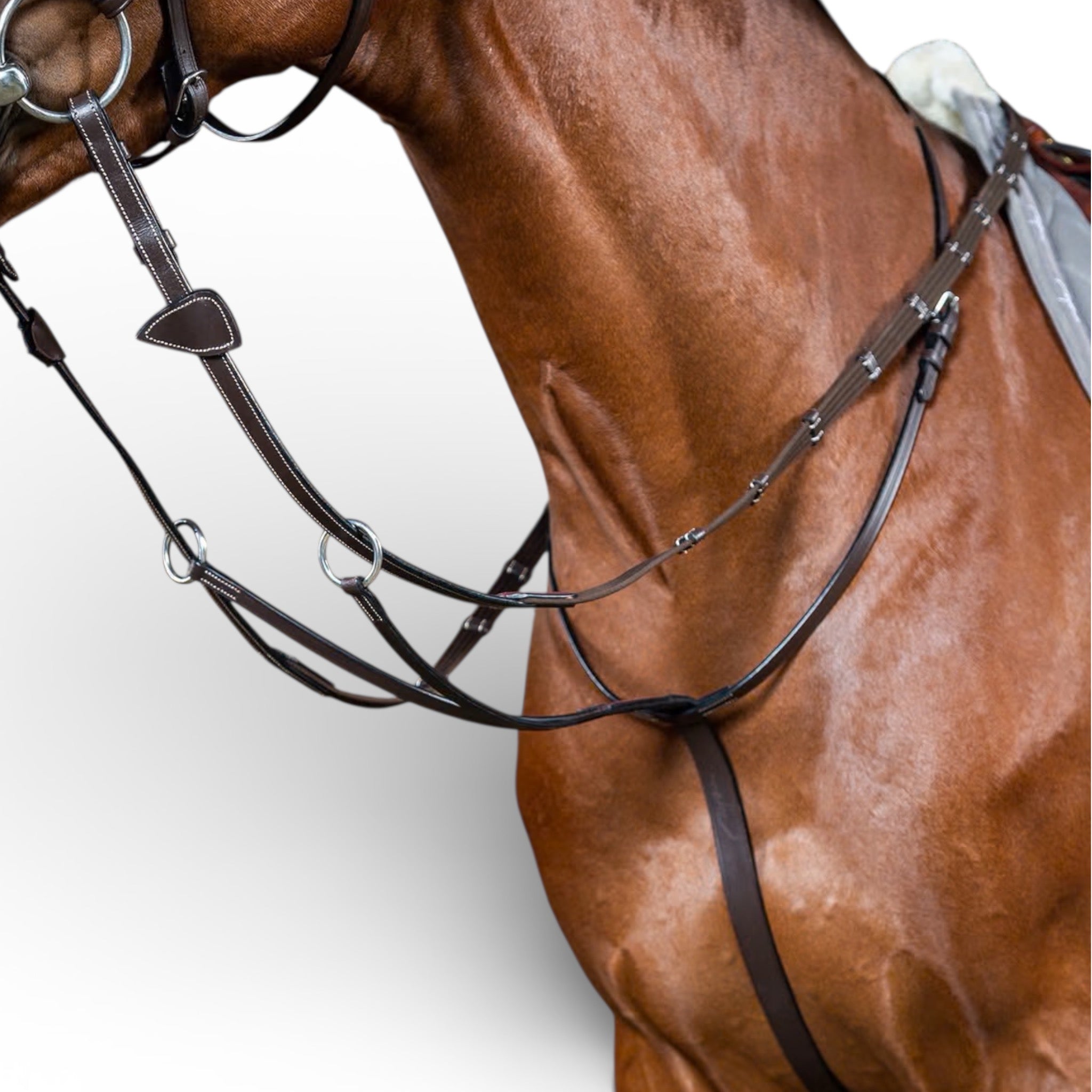 Dyon Running Martingale