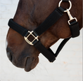 Load image into Gallery viewer, Kentucky Halter 3D mesh
