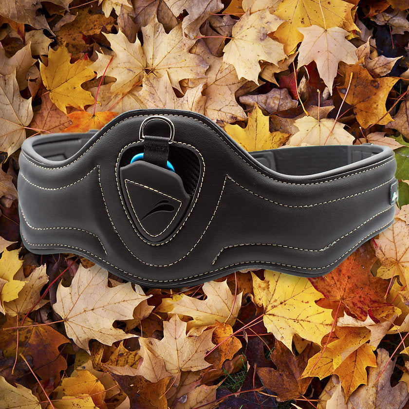 eQuick ES Jumping Girth