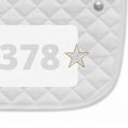 Load image into Gallery viewer, Shining Star Pin Charms by Dubois Cheval
