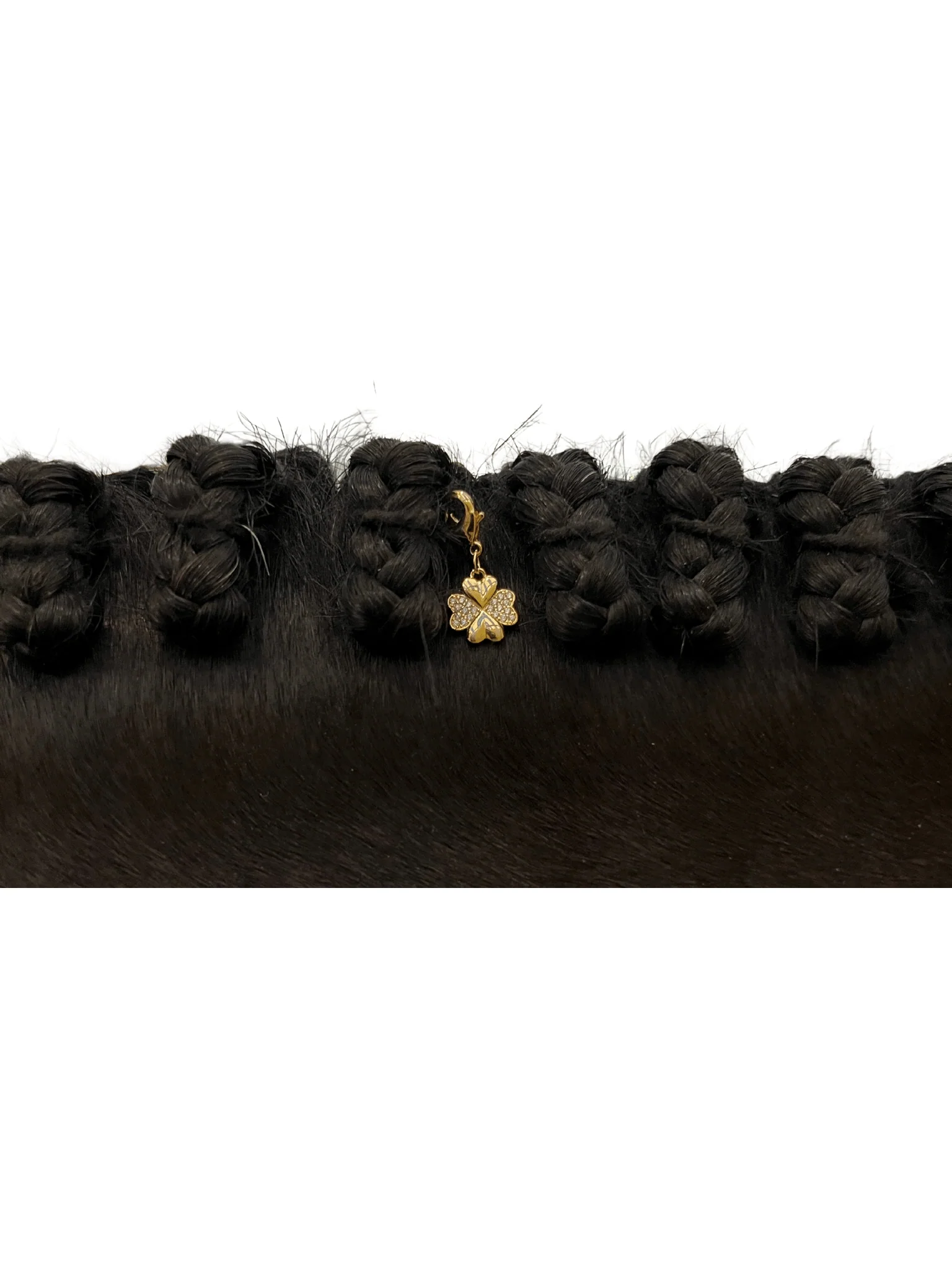 Dubois Cheval Braid Charm - Sparkly Lucky Clover