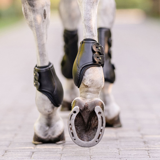 EquiFit® Eq-Teq® Hind Boots with ImpacTeq®Liner