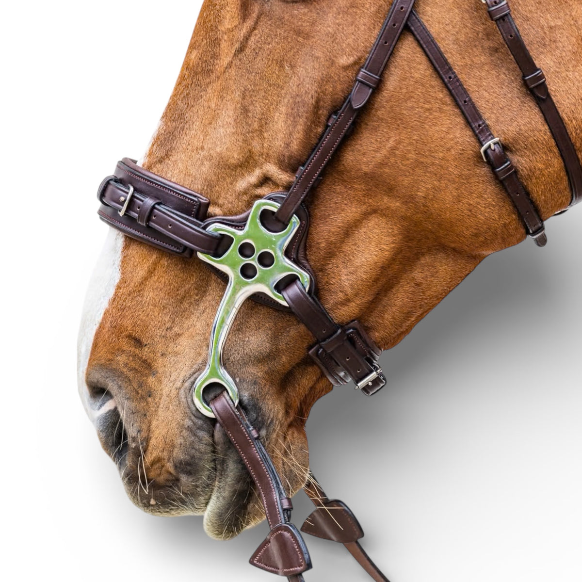 Hackamore Types Dyon Hackamore | Premium Leather Bitless Bridle – Alorian Saddlery
