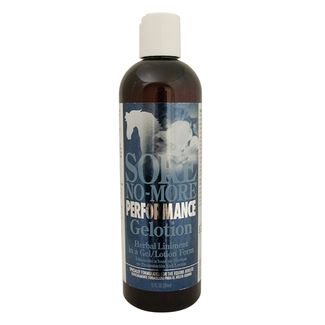 Arenus Sore No More Performance Gelotion 12oz