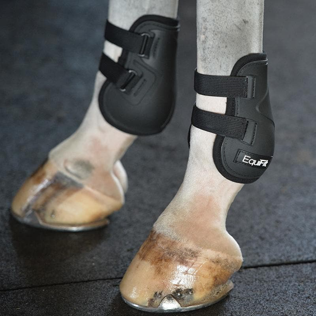 EquiFit® Prolete™ Hind Boots Webbing Strap with Velcro