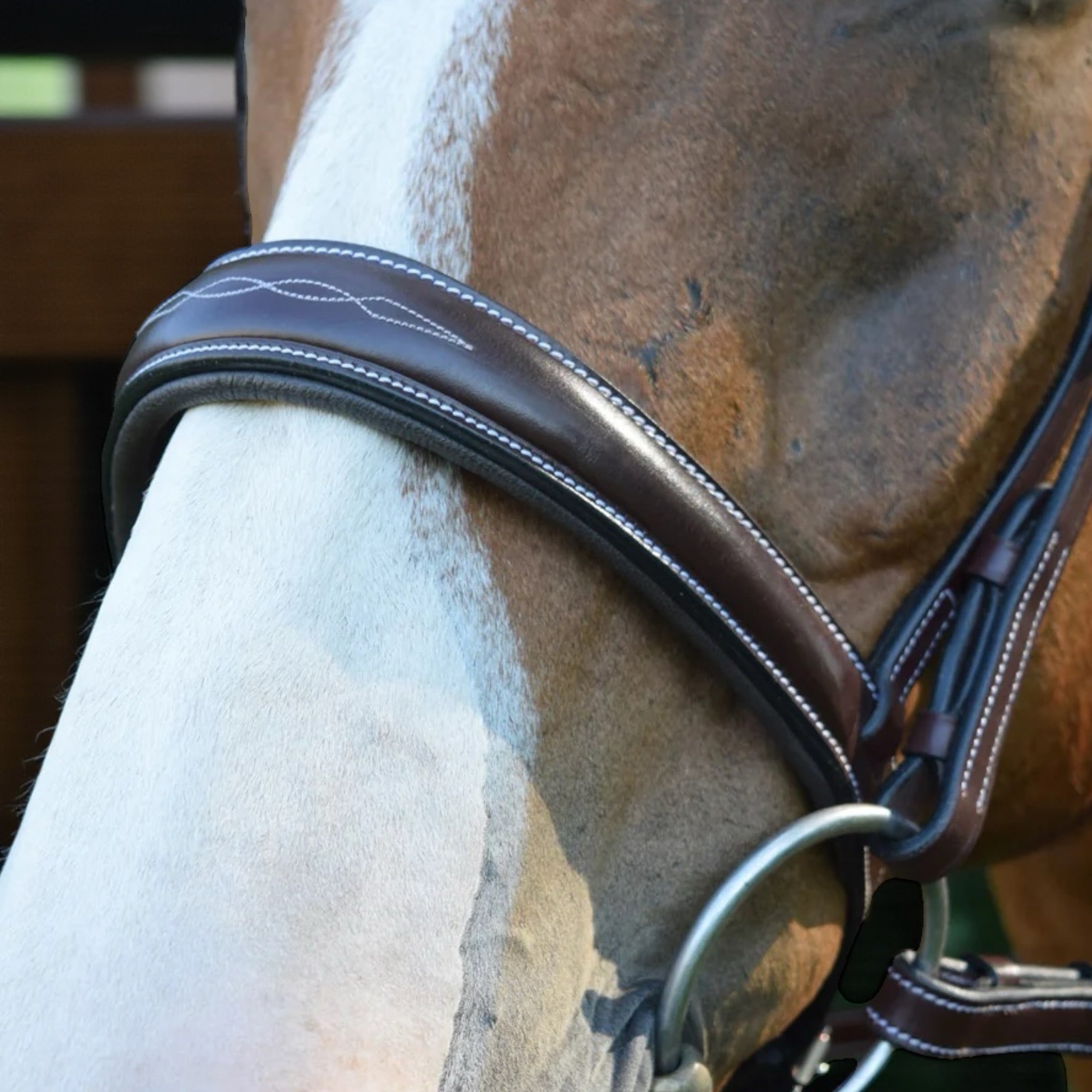 Red Barn by KL Select Ocala Hunter Bridle