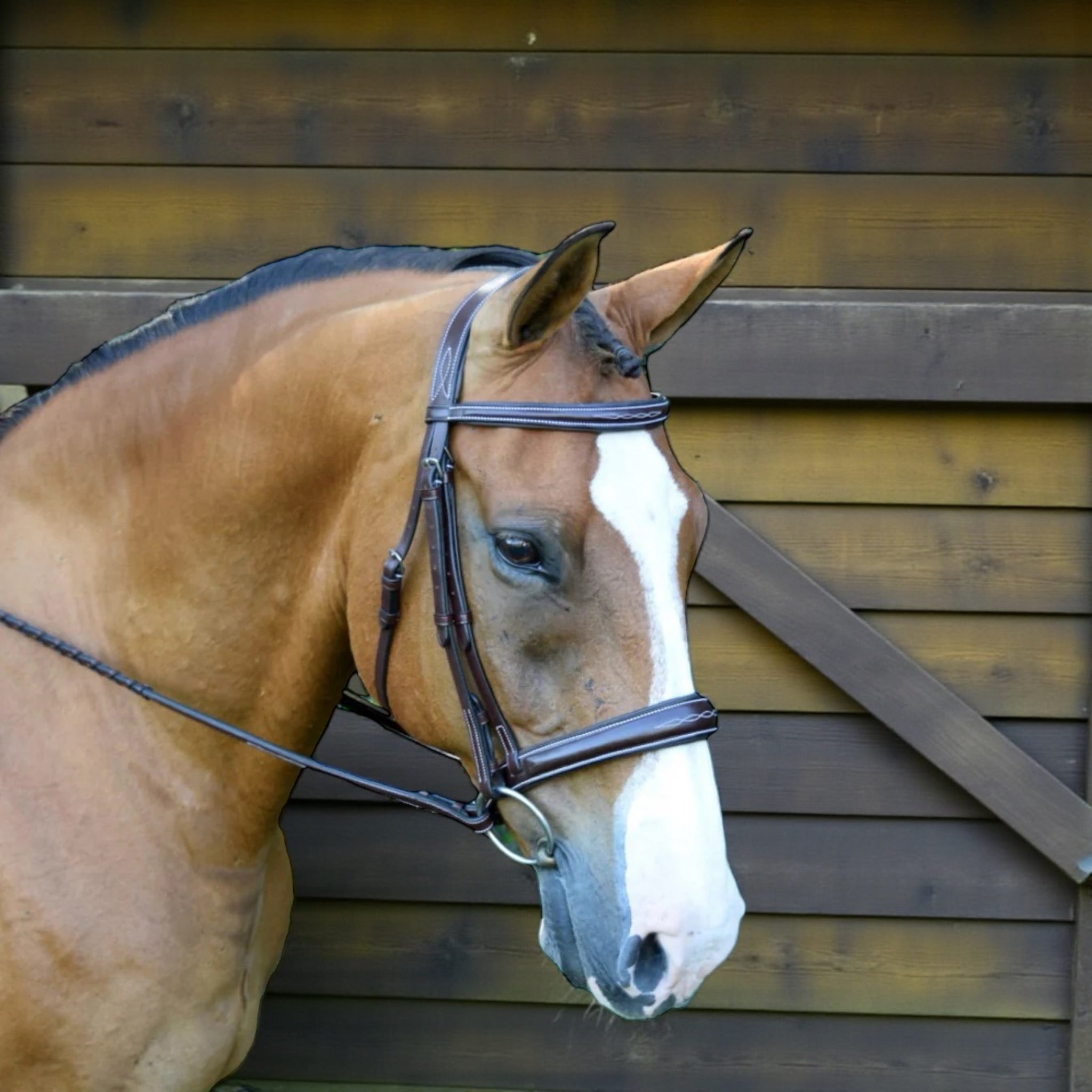 Red Barn by KL Select Ocala Hunter Bridle