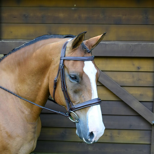Red Barn by KL Select Ocala Hunter Bridle