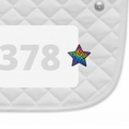 Load image into Gallery viewer, Rainbow Cheetah Number Pin Charms by Dubois Cheval
