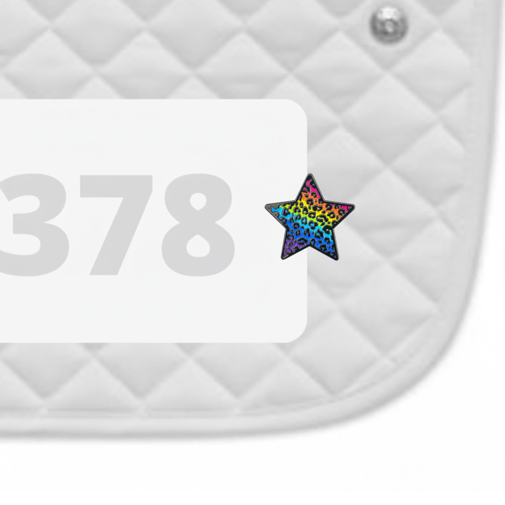 Rainbow Cheetah Number Pin Charms by Dubois Cheval