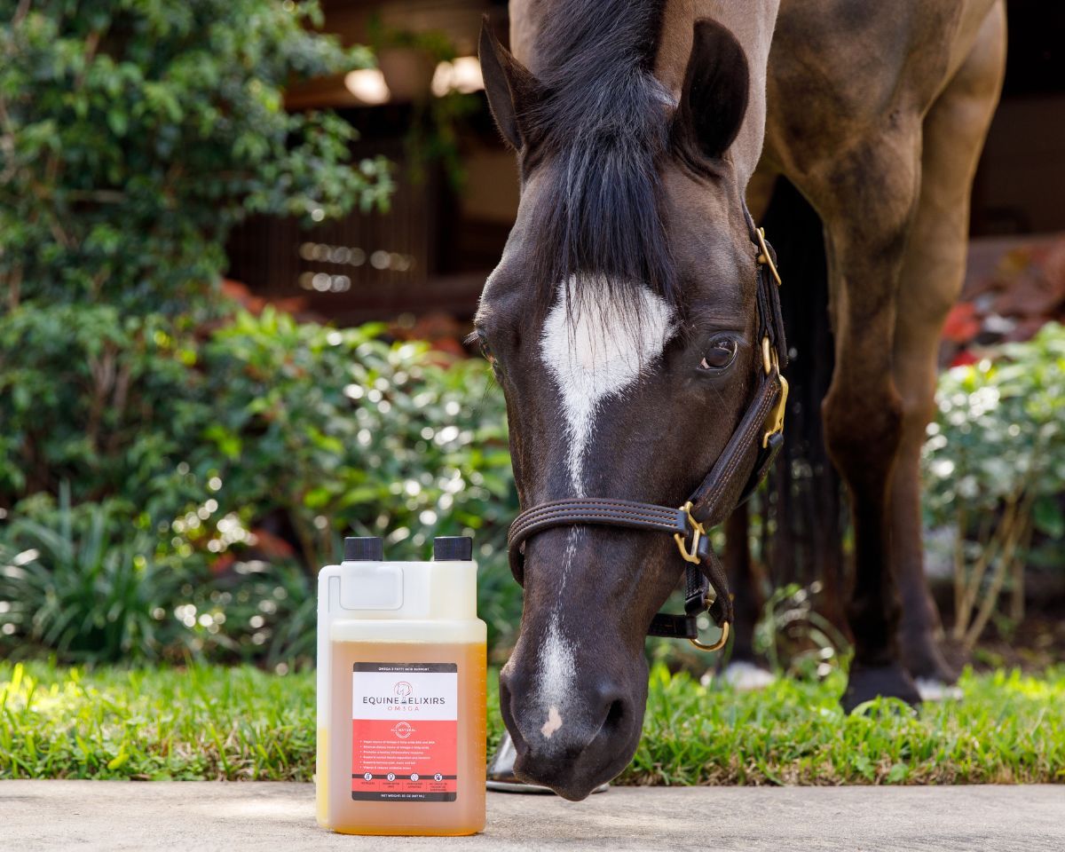 Equine Elixirs OM3GA® Omega-3 Fatty Acid Support