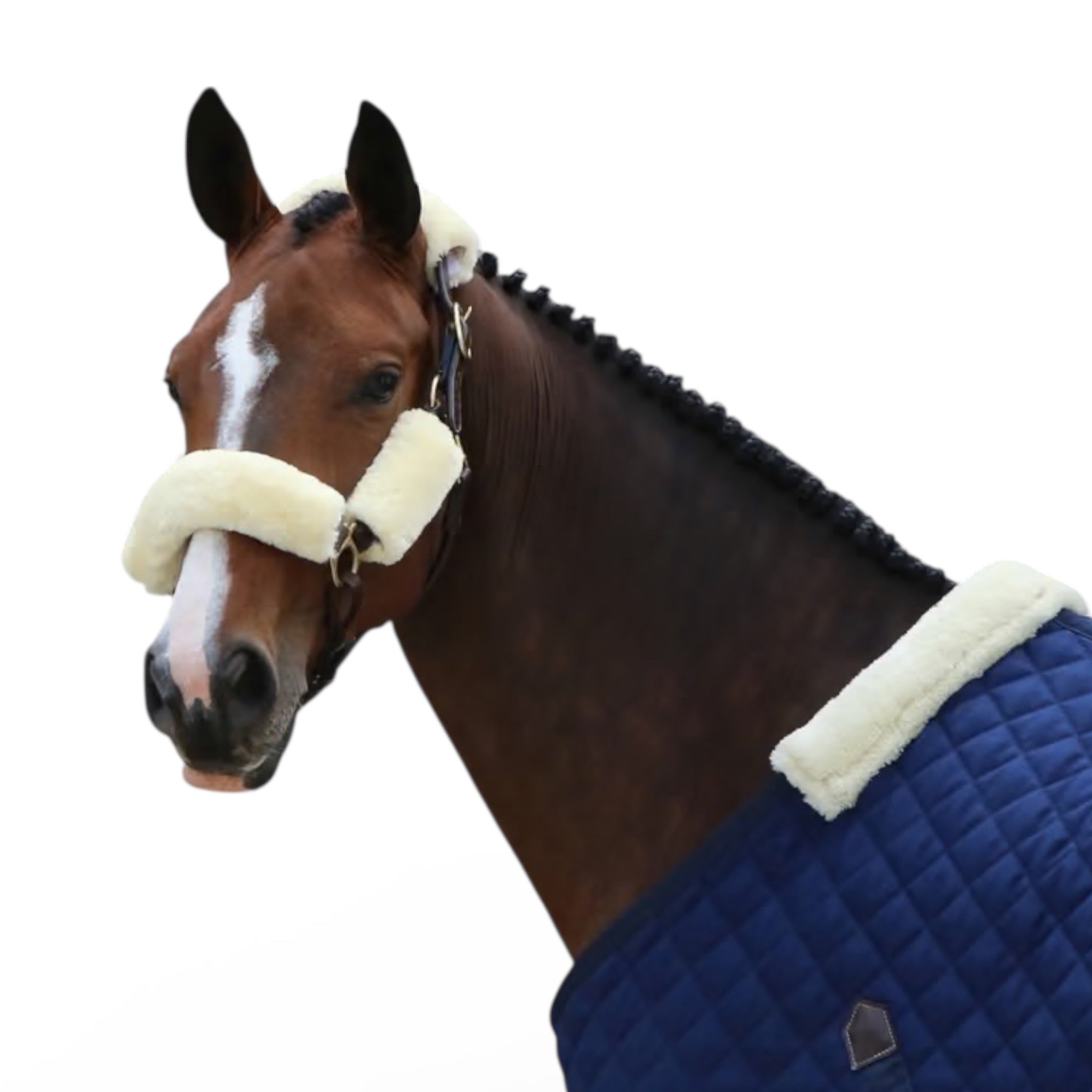 Kentucky Horsewear Sheepskin Halter Set Of 4