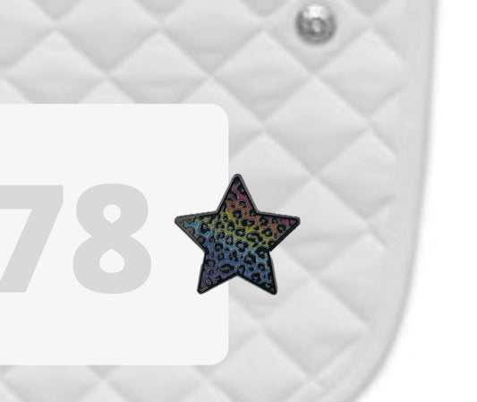 Dubois Cheval Rainbow Cheetah Number Pin Charms