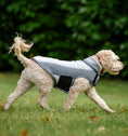 Load image into Gallery viewer, Horseware® Newmarket Dog Fleece
