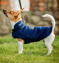 Load image into Gallery viewer, Horseware Signature Dog Fleece (No Fill)
