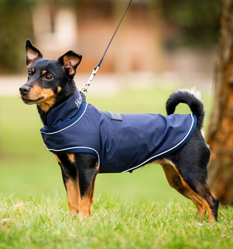 Horseware® Signature Dog Rain Coat (No Fill)