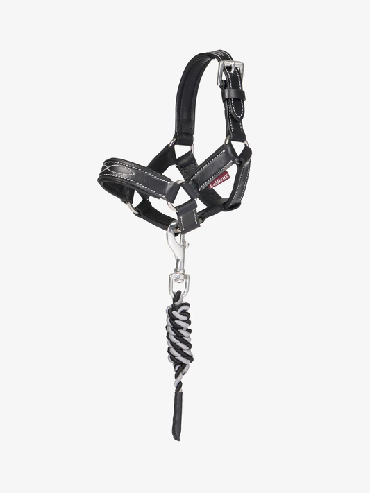 LeMieux® Toy Pony Leather Headcollar & Leadrope