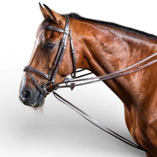 Dyon Hunter Draw Reins 1/2