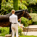 Load image into Gallery viewer, Euphoric Equestrian Kloud Long Sleeve Competition Shirt
