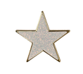 Load image into Gallery viewer, Dubois Cheval Number Pin Charms - Shining Star
