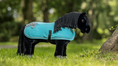 Load image into Gallery viewer, LeMieux® Toy Pony Show Rug
